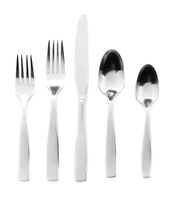 Oneida Everdine Modern Stainless Steel Flatware