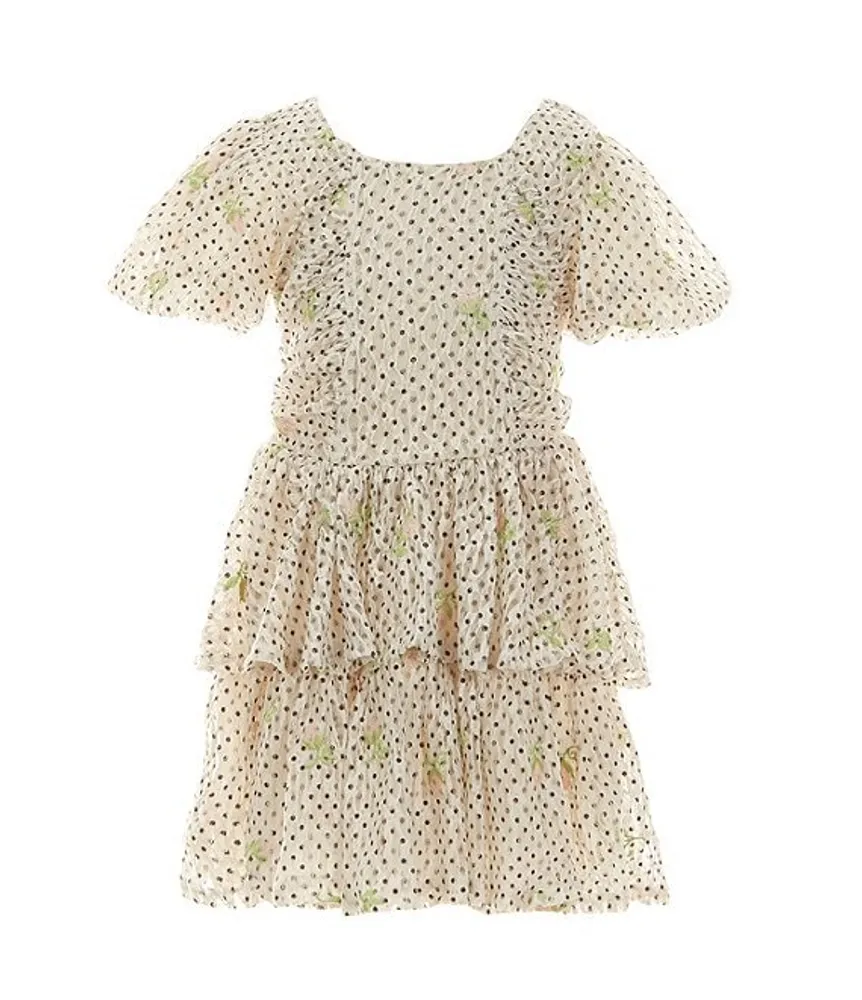 Peek Little Girls 2T-8 Confetti Embroidered Fit & Flare Dress