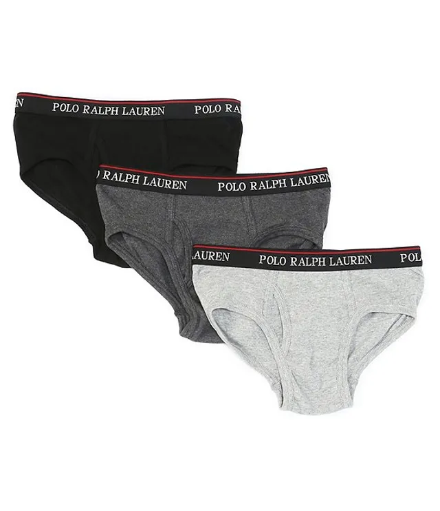 Polo Ralph Lauren Big & Tall Classic Fit Cotton Assorted Brief 3