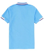 Psycho Bunny Big Boys 7-20 Short Sleeve Woodstock Striped Pique Polo Shirt