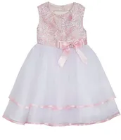 Rare Editions Baby Girls 3-24 Months Embroidered/Tiered Mesh Fit-And-Flare Dress