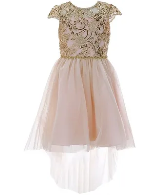 Rare Editions Big Girls 7-16 Cap Sleeve Sequin-Embellished /Sheer-Overlay Skirted Fit-And-Flare Dress