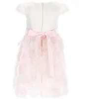Rare Editions Little Girls 2T-6X Cap Sleeve Solid Satin Bodice to Soutache-Embroidered Skirt Fit-And-Flare Dress