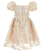 Rare Editions Little Girls 2T-6X Puffed-Sleeve Burnout Organza Babydoll Dress
