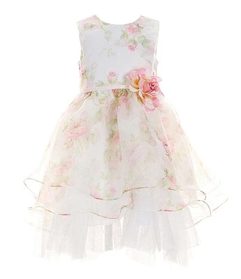 Rare Editions Little Girls 2T-6X Sleeveless Floral-Printed Tiered Organza Ballgown