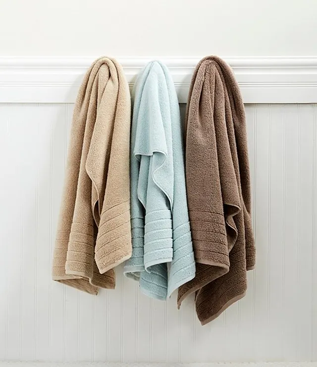 SKL Home Cozy Home 2 Piece Hand Towel Set in Taupe