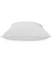 Southern Living USA Feather & Down Euro Pillow