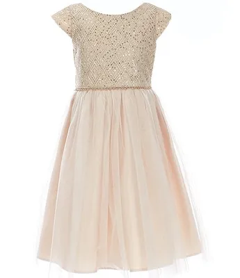 Sweet Kids Little Girls 2-6 Sequin-Embellished Diamond Knit/Tulle Fit-And-Flare Dress