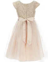 Sweet Kids Little Girls 2-6 Sequin-Embellished Diamond Knit/Tulle Fit-And-Flare Dress