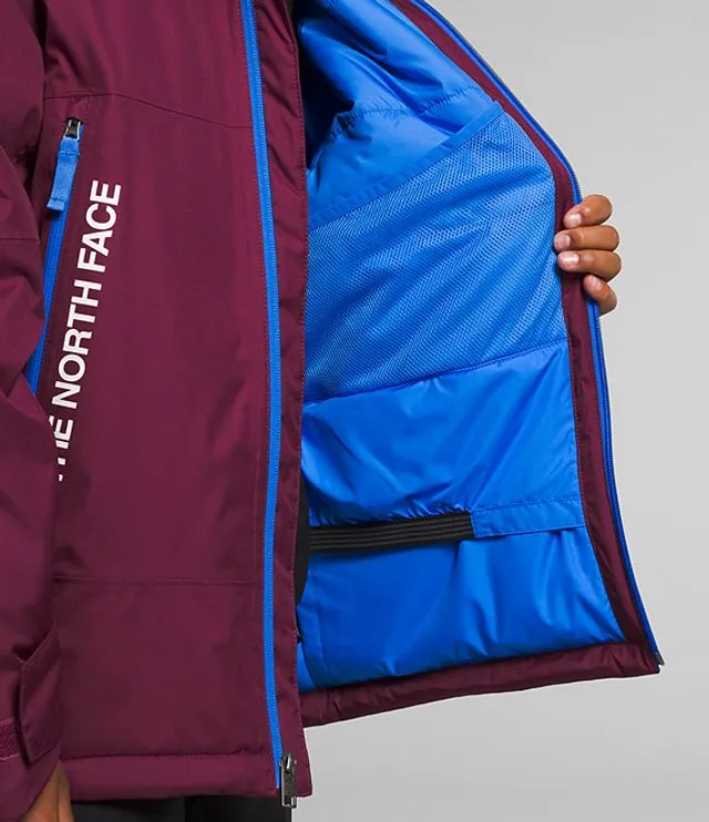 The North Face Freedom Insulated Ski Jacket (Boys')