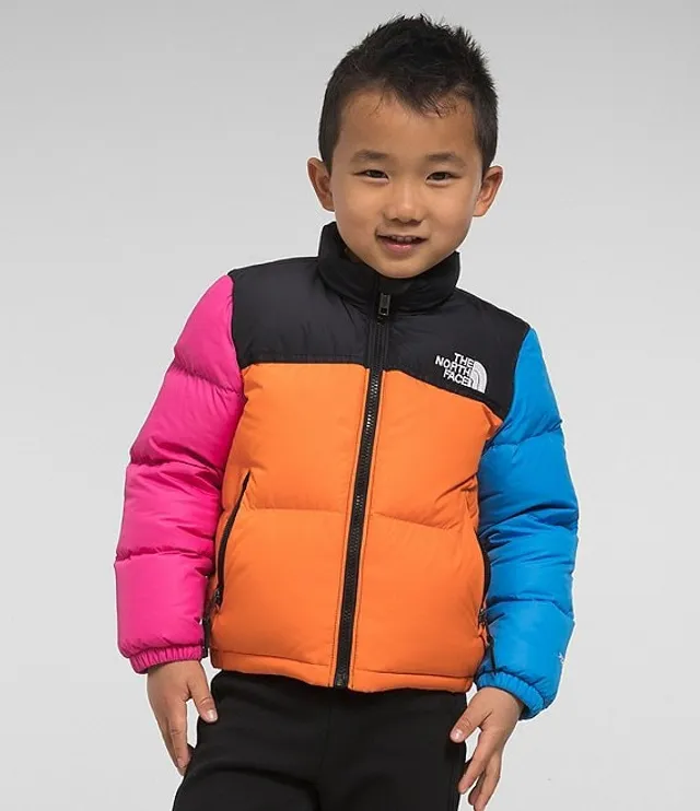 The North Face Little Boys 2T-7 Long Sleeve Color Block Denali