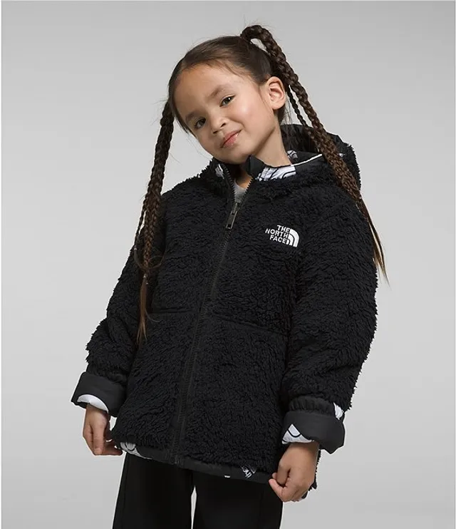 The North Face Little Kids 2T-7 Recycled Fleece Long Sleeve