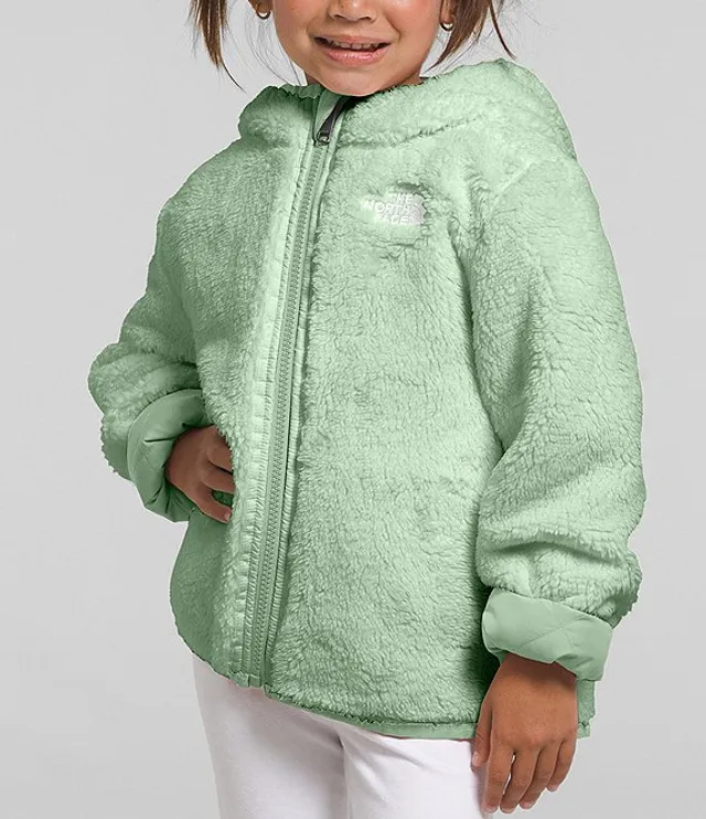 The North Face Little Girls 2T-7 Long-Sleeve Glacier Color Block Fleece  Jacket