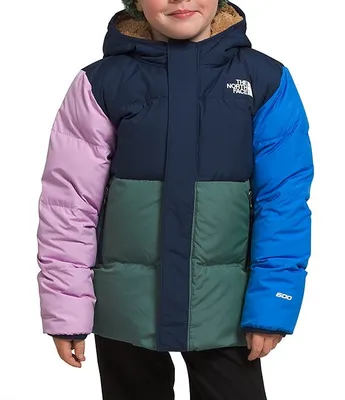 The North Face Little/Big Girls 2T-7 Long Sleeve Down Colorblock Hooded Jacket