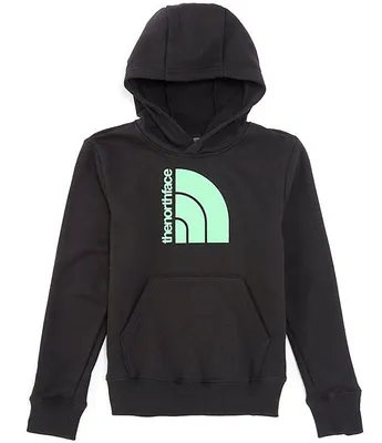 The North Face Little/Big Boys 5-20 Long Sleeve Logo Fleece Hoodie