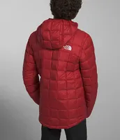 The North Face Little/Big Boys 6-20 Long Sleeve Thermoball Hooded Snow Jacket