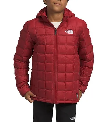 The North Face Little/Big Boys 6-20 Long Sleeve Thermoball Hooded Snow Jacket