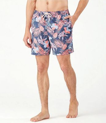 dillards men's swimsuits