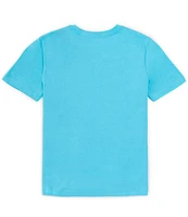 Tommy Hilfiger Big Boys 8-20 Short Sleeve Flag T-Shirt