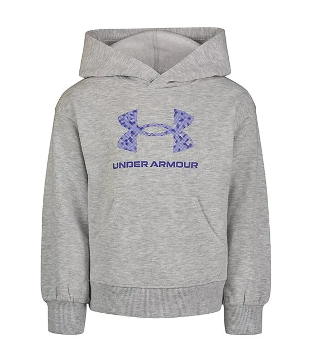 Under Armour Fleece Big Logo Long-Sleeve Hoodie for Ladies