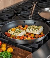 Viking Professional 5-Ply Satin Covered Eterna Nonstick Fry Pan