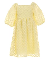 Xtraordinary Big Girls 7-16 Clip-Dot Textured Babydoll Dress