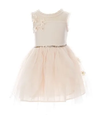 Zunie Little Girls 4-6X Mesh 3D Flower Dress