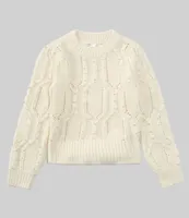 A Loves A Big Girls 7-16 Long Sleeve Cable Sweater with Pearls