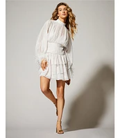 A Loves A Metallic Chiffon Feather Trim Ruched Mock Neck Long Sleeve Fit and Flare Blouson Flounce Mini Dress