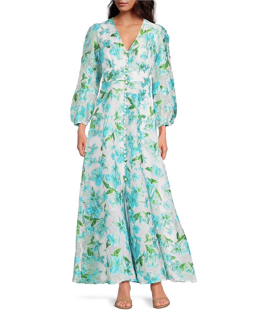 Abbey Glass Brooke Floral Long Sleeve V-Neck Maxi Dress