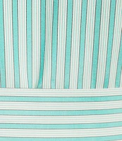 Abbey Glass Harper Stripe Print Button Down Collar Short Sleeve Popline Dress