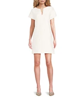 Abbey Glass Lulu Jacquard V-Neck Short Sleeve Mini Shift Dress