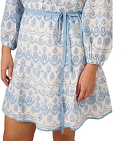 Adrianna by Adrianna Papell Plus Size Embroidered Eyelet Flounce Hem Dress