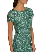 Adrianna Papell Crew Neck Short Sleeve Beaded Sequin Mesh Column Gown