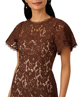 Adrianna Papell Illusion Crew Neck Flutter Sleeve Lace Shift Dress