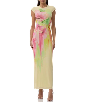 AFRM Cody Floral Print Crew Neck Cap Sleeve Mesh Maxi Dress