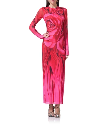 AFRM Didi Floral Print Crew Neck Long Sleeve Maxi Dress