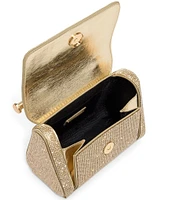 ALDO Bling Chic Statement Top Handle Clutch