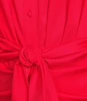 Alex Marie Adriana Long Sleeve Collared Tie Waist Maxi Dress