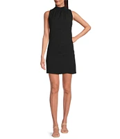 Alex Marie Chiara Stretch Crepe Mock Neck Sleeveless Dress
