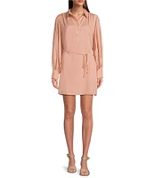 Alex Marie Liberty Point Collar Long Sleeve Draped Tie Waist Shift Dress