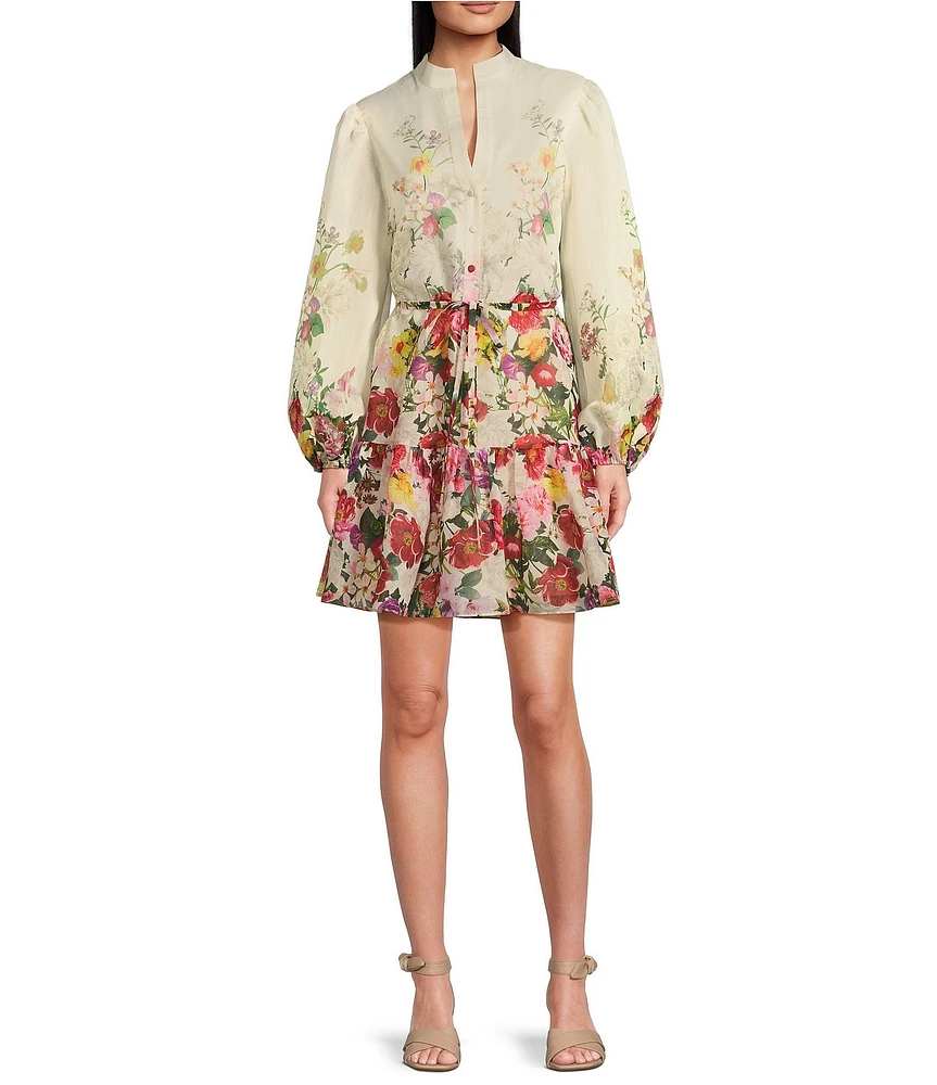 Alex Marie Lorenza Floral Organza Long Sleeve Button Front Dress