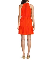 Alex Marie Posey Sleeveless Halter Neck Dobby A-Line Dress