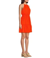 Alex Marie Posey Sleeveless Halter Neck Dobby A-Line Dress