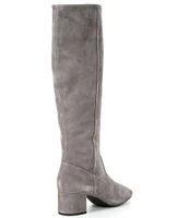 Alex Marie Prizelle Tall Shaft Suede Boots