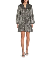 Alex Marie Wren Long Sleeve Sequin Dress