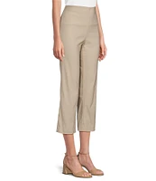 Ali Miles Flat Front Stretch Ponte Pants