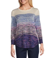 Allison Daley 3/4 Sleeve Crew Neck Color Block Stripe Sweater