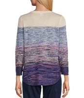 Allison Daley 3/4 Sleeve Crew Neck Color Block Stripe Sweater