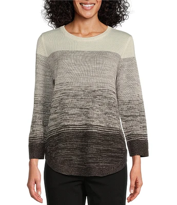 Allison Daley 3/4 Sleeve Crew Neck Colorblock Stripe Sweater